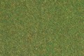 Meadow mat mid green 75 x 100 cm